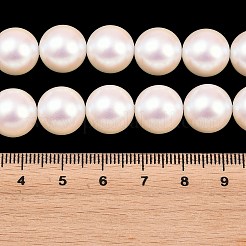 Rangs de perles de verre électroplaquées de taille dégressive&nbsp;BSHE-C011-03A