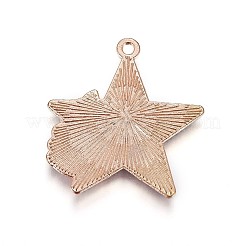 Подвески из цинкового сплава&nbsp;ENAM-P164-11A