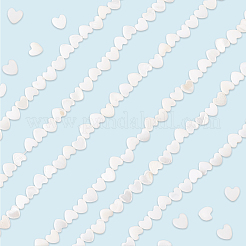 3 нить бусин из натуральных пресноводных ракушек SHEL-LT0001-02