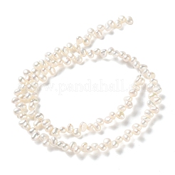 Fili di perle di perle d'acqua dolce coltivate naturali&nbsp;PA-CBABE82-02C