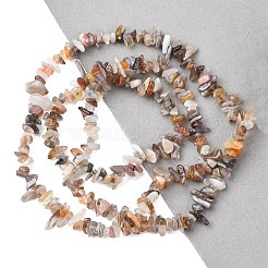 Природные Ботсвана агат бисер нитей G-I283-A05-01