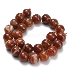 Натуральные полосатые агатовые бусы&nbsp;G-L642-B04-16mm