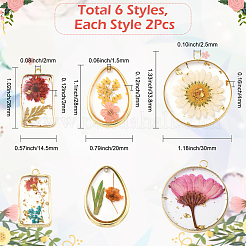 12 шт.&nbsp;RESI-SC0036-60B