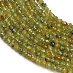 Natürlichen Peridot Perlen Stränge&nbsp;GG-CBA753B-A04-3mm