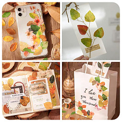 Autocollants en papier à feuilles d'automne pour la création de cartes&nbsp;DIY-TAC0032-23B