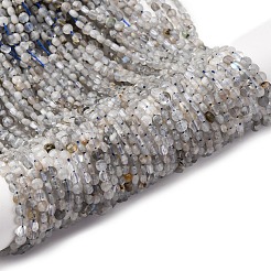 Природные лабрадорита бисер нитей G-RM2025-A28