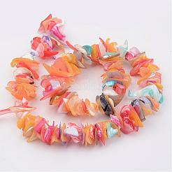 Conchiglia naturale fili di perle&nbsp;BSHE-P021-10