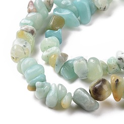 Fili di perline di amazonite di fiori naturali&nbsp;X-G-M205-12B