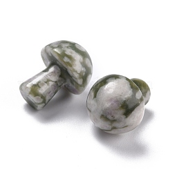 Натуральный мир нефрита гриб гуа ша камень&nbsp;G-L570-A10