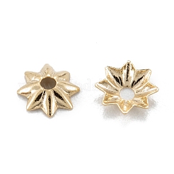 Лепестковые шарики из нескольких лепестков KK-D063-17G