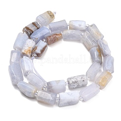 Chapelets de perles en agate avec dentelle bleue naturelle&nbsp;G-D109-A02