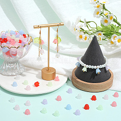 640шт 8 цвета прозрачные акриловые колпачки для бусин&nbsp;FACR-SC0001-03