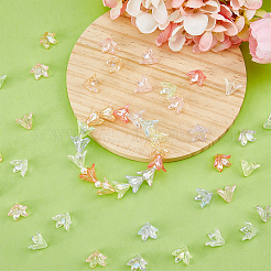 240шт 8 цвета прозрачные акриловые колпачки для бусин&nbsp;OACR-FH0001-050