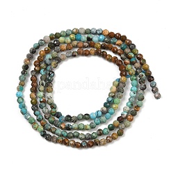 Бусины из натуральной бирюзы  G-K366-B03-02