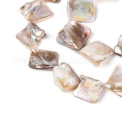 Нити бусин из натуральных пресноводных раковин цвета ab BSHE-T014-38