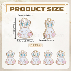 40 шт. Подвески из сплава с эмалью&nbsp;ENAM-LP0002-56