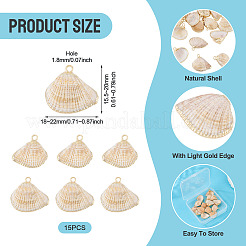 15 шт. Подвески из натуральных ракушек&nbsp;BSHE-TA0001-26