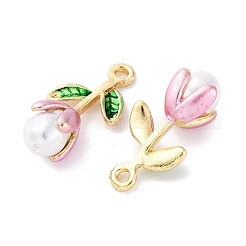 Подвески из эмали и сплава FIND-M060-22G-02