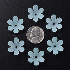 Прозрачные акриловые бусины&nbsp;MACR-S373-107-D04