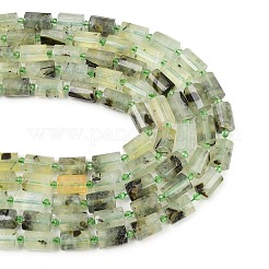 Природные пренит нитей бисера&nbsp;G-G453-E03-10x14mm