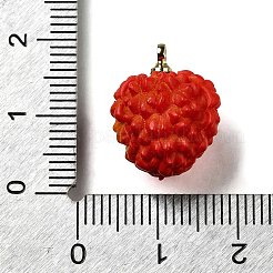 Латунные подвески из акрила OACR-R006-01G-04