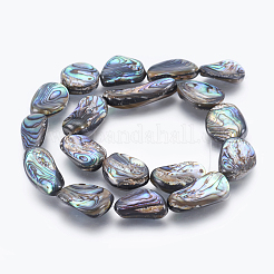 Нити бусин из натуральной раковины морского ушка/ракушки пауа SSHEL-P014-02