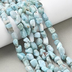 Природные ларимар бисер нитей G-K203-48