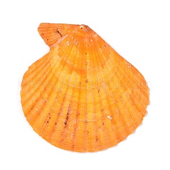 Подвески из натуральной неокрашенной ракушки гребешка большие SHEL-T020-01