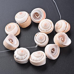 ナチュラルスパイラルシェルビーズ連売り  アンティークホワイト  15~18x8~15mm  穴：0.8mm  約11個/連  7.09インチ（18cm）&nbsp;X-SSHEL-N034-106