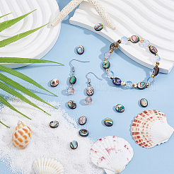 20 шт. бусины из ракушек абалона/пауа SSHEL-FI0001-03