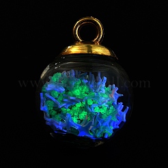 Подвески из прозрачного стекла&nbsp;FIND-WH0146-35E