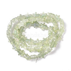 Полностью покрытые радугой стеклянные бусины с гальваническим покрытием&nbsp;GLAA-P005-FR03