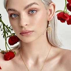 20 пара 2-х цветных латунных крючков для серег KK-BBC0016-19