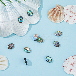 10 шт. бусины из натуральной ракушки пауа&nbsp;SSHEL-FI0001-04