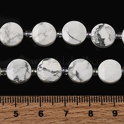Natürliche Howlith Perlen Stränge&nbsp;G-D105-A07