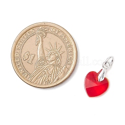 10шт 10 цвета стеклянные подвески PALLOY-JF04543