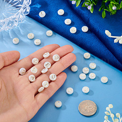 30pcs 5 styles de perles de coquillages d'eau douce naturels&nbsp;SHEL-TA0001-32