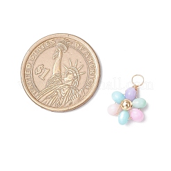 Подвески-цветы из натуральной окрашенной пресноводной ракушки PALLOY-JF03768-01