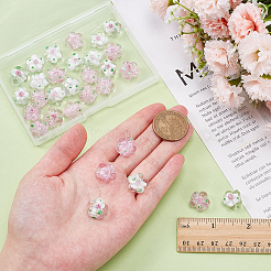 30шт 2 цвета бусины лэмпворк ручной работы&nbsp;LAMP-WR0001-06