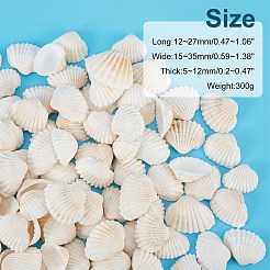 Shell perle naturali&nbsp;SSHEL-PH0001-07