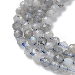 Природные лабрадорита бисер нитей&nbsp;G-L651-C11-4mm