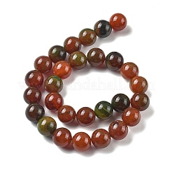 Природные многоцветные агат бисер пряди G-A261-B22-14mm