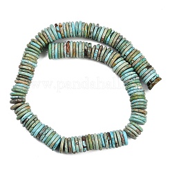 Нити натуральных бусин хаулита G-B148-A02