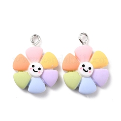 Подвески из смолы RESI-C002-24