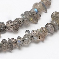 Фишка натурального черного бусины из ларвикита&nbsp;G-N0164-61