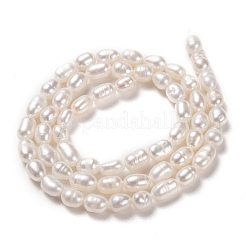 Нити из натурального культивированного пресноводного жемчуга PEAR-J005-62