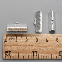 Eisenband Crimp-Enden&nbsp;IFIN-S008-S