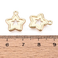 Aluminium Anhänger & Charms&nbsp;PALLOY-Q464-03KCG