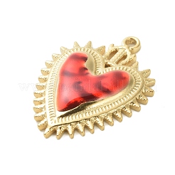 Pendentifs en acier inoxydable 304 émaillés&nbsp;STAS-K303-04G-06
