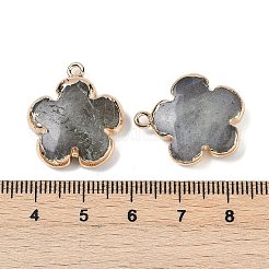 Природные подвески лабрадорита&nbsp;G-P566-01G-08